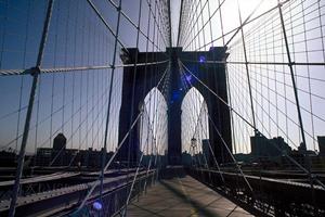 山口のトヨタカローラ山口 山口店の完全ガイド：最新車種とサービス情報を徹底解説