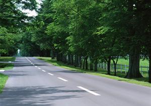 車検は期限切れにならないよう計画的に