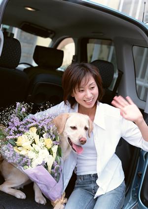 車検の悩みを早く安く解決するコバック